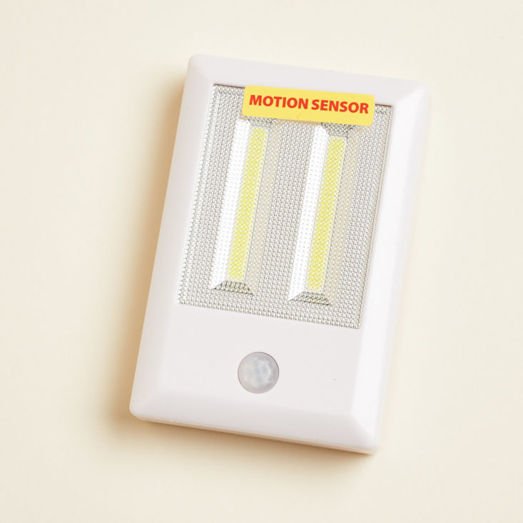 motion sensor light