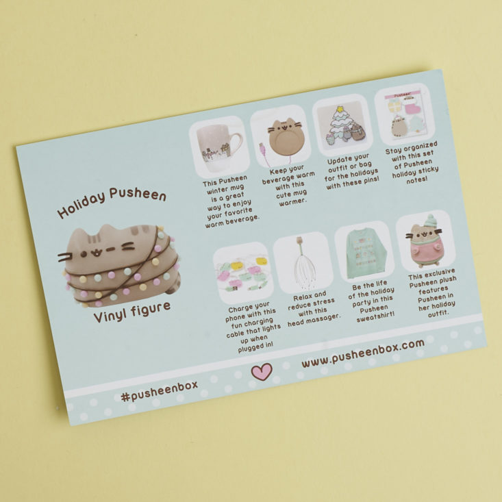 Pusheen Winter 2017 info card with contents