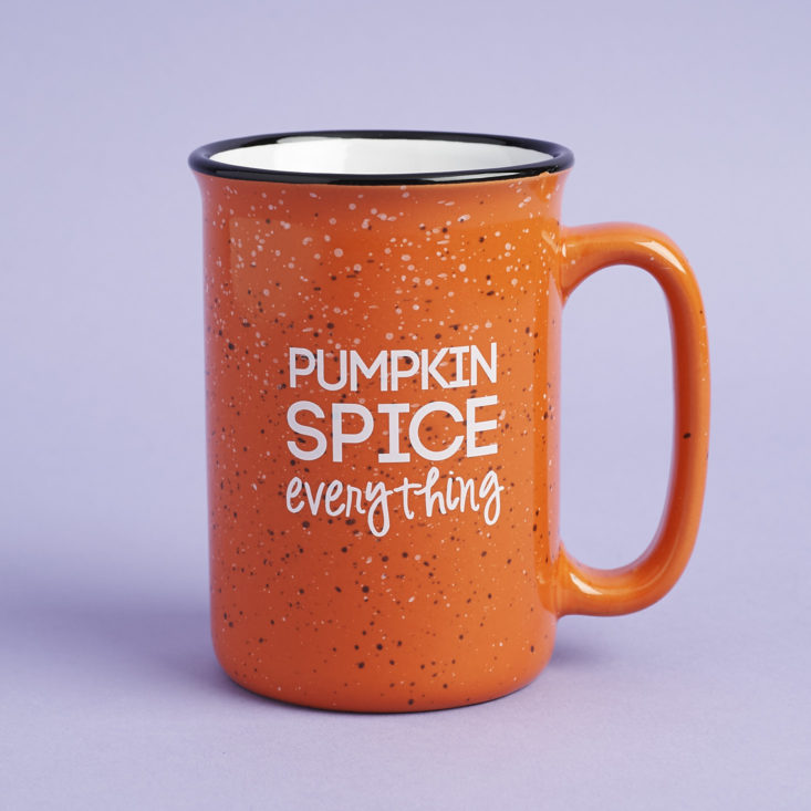 orange pumpkin spice everything mug