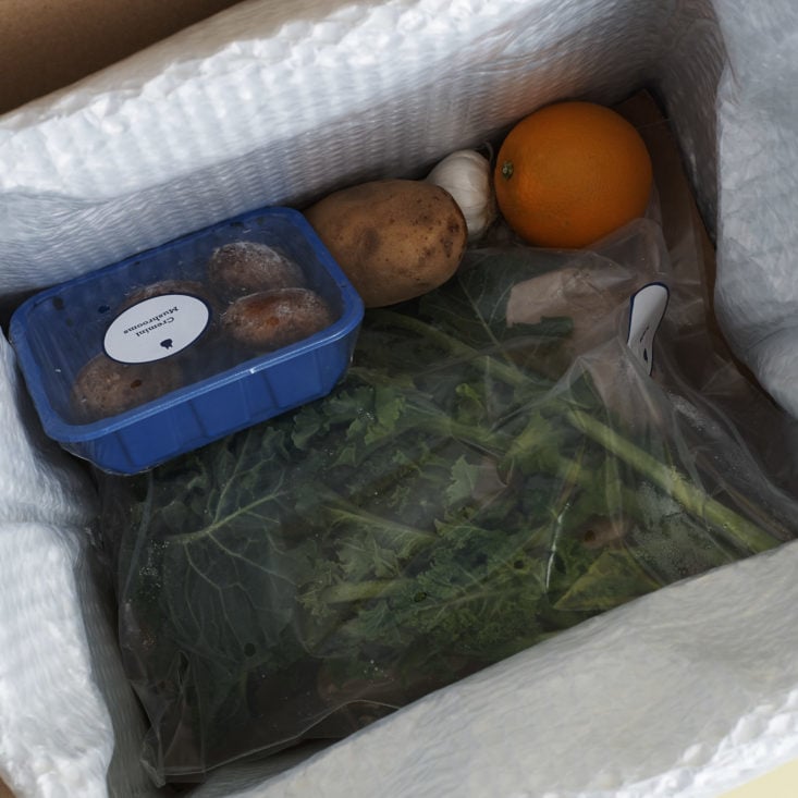 inside the cooler bag of a Blue Apron Box