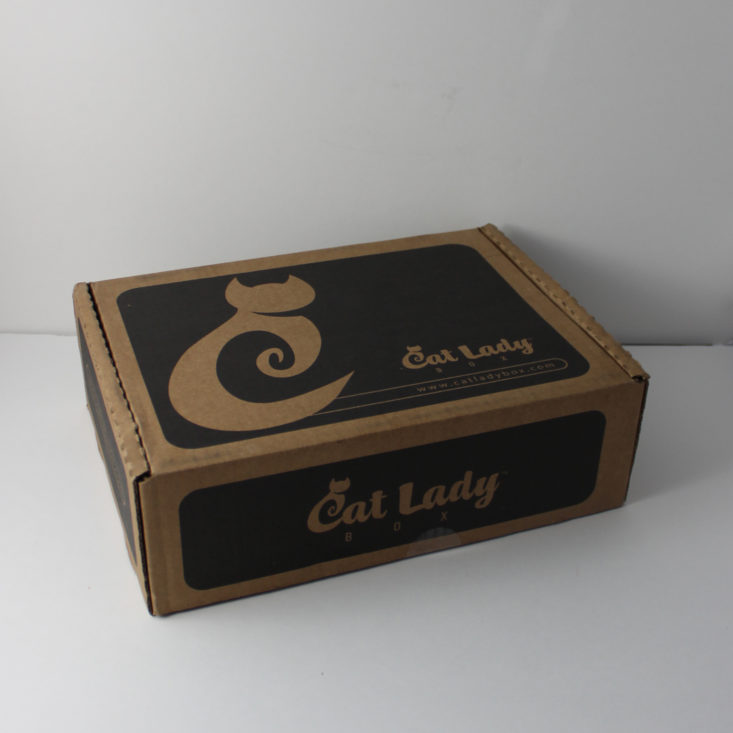 Cat Lady Box January 2018 Box closed