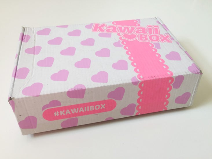 Kawaii Box January 2018 Box closed
