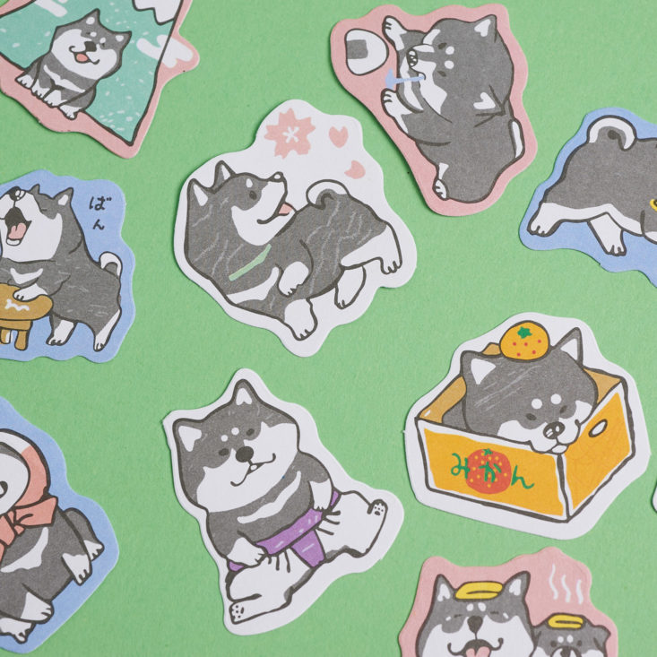 closeup on husky stickers