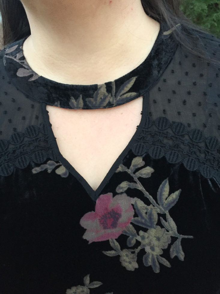 Mock Choker Neck Velvet Burnout Top by Daniel Rainn neckline