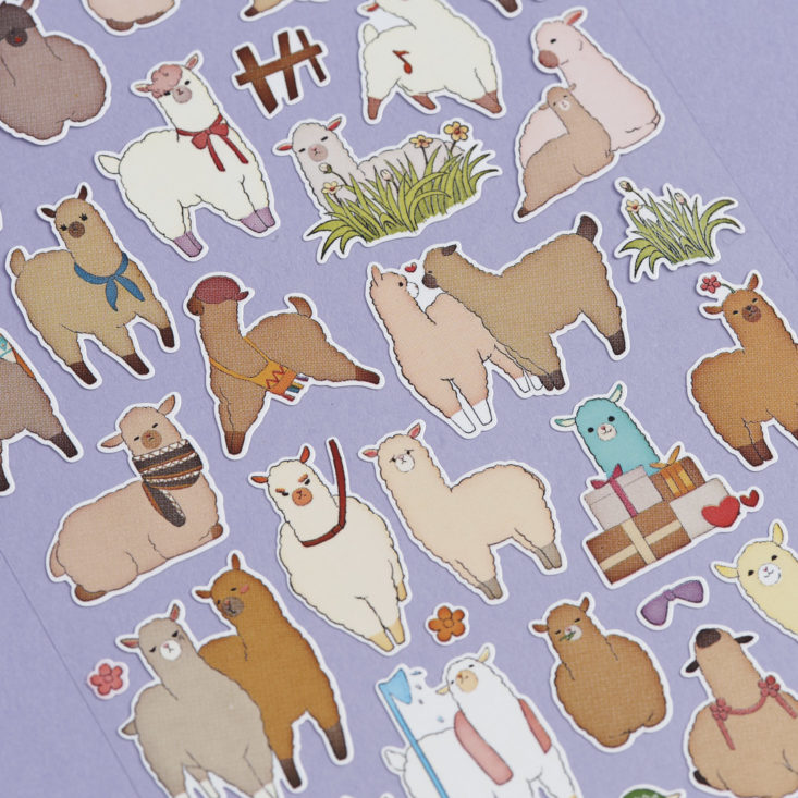close up of sassy llama stickers