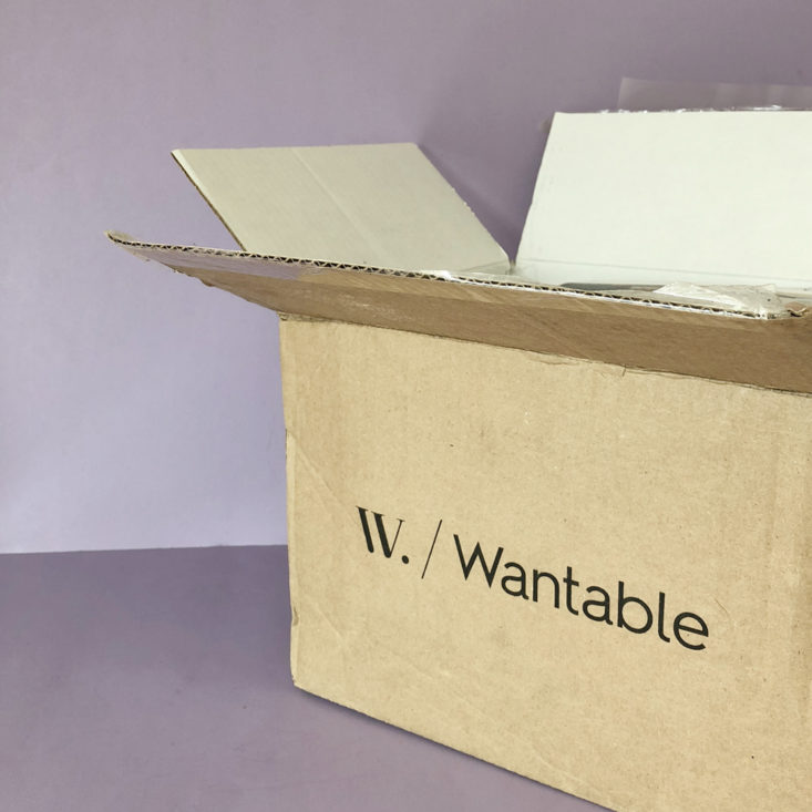 Wantable Style Edit February 2018 - Box open
