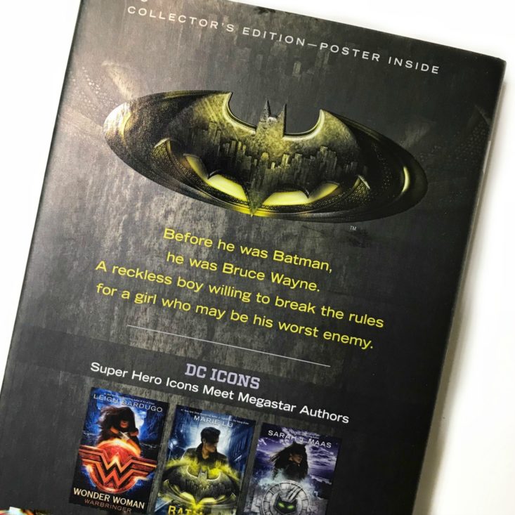 Batman: Nightwalker back cover