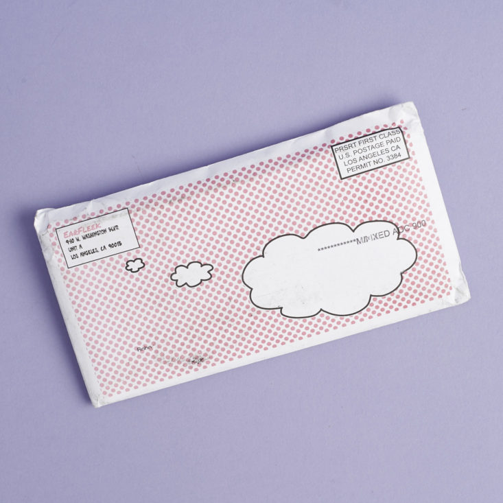 earfleek packaging