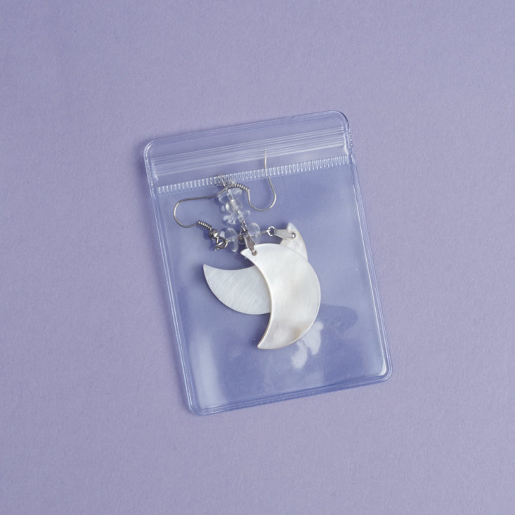 earfleek in plastic packaging