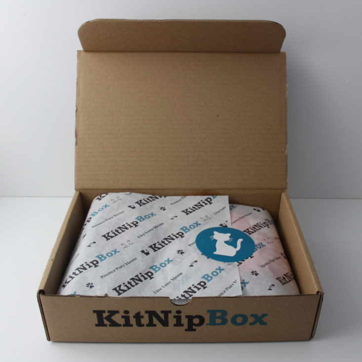 Kitnipbox March 2018 Box inside
