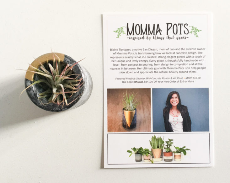 Shooter Mini Concrete Planter & Air Plant by Momma Pots 