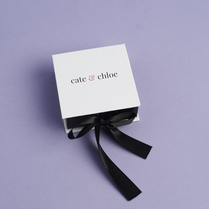 Cate _ Chloe March 2018 - 0013 box