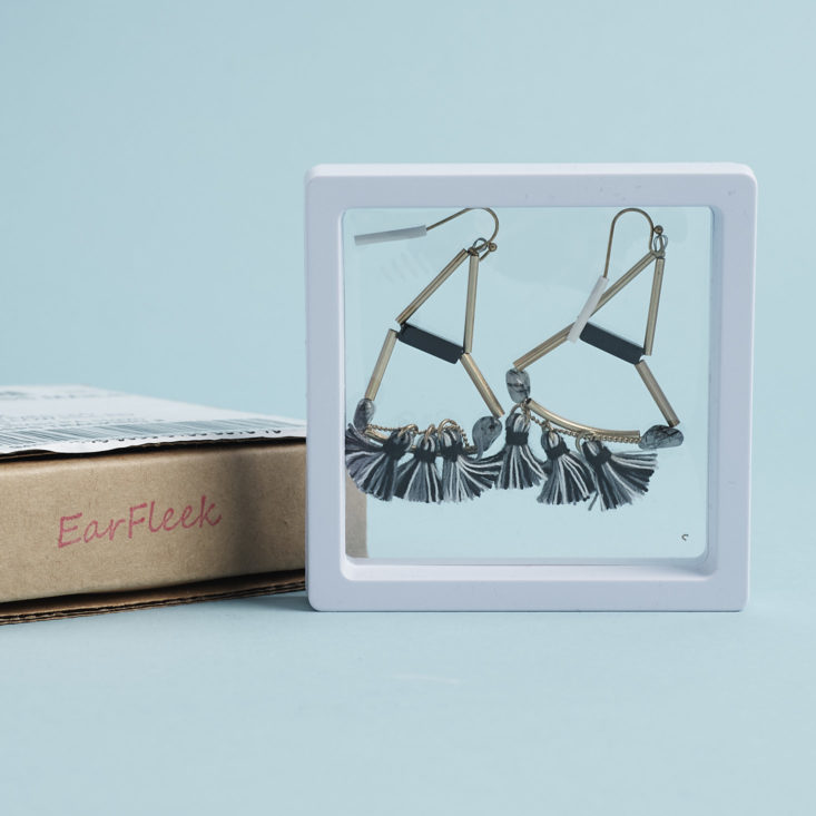 earrings in case