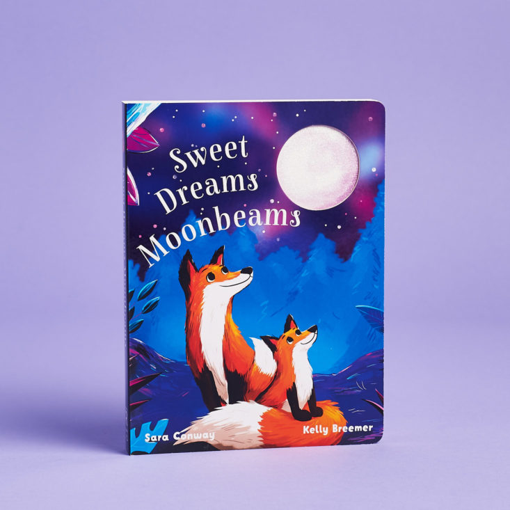 Sweet Dreams Moonbeams book