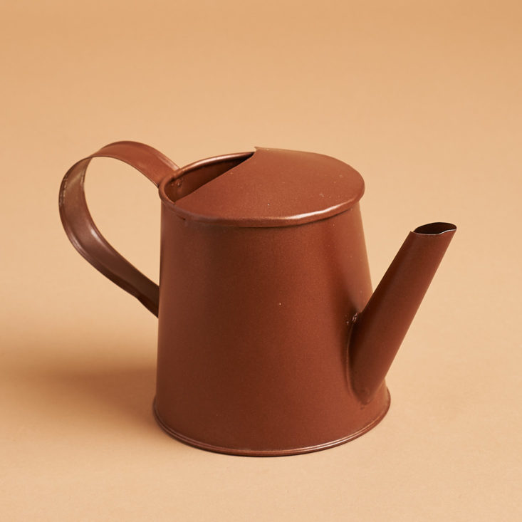 globein cultivate metal watering can