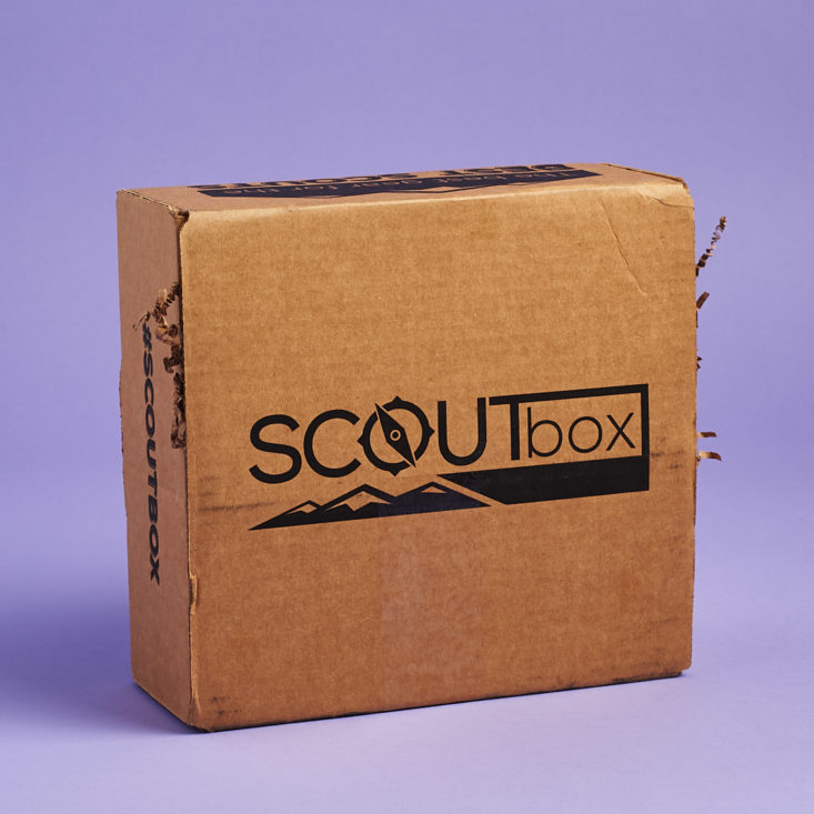 closed Scout Box