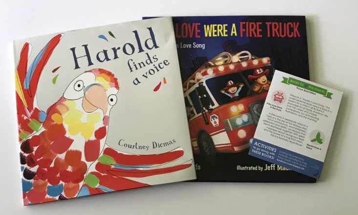 Bookroo Picture Book Box Review June 2018 -3) all items