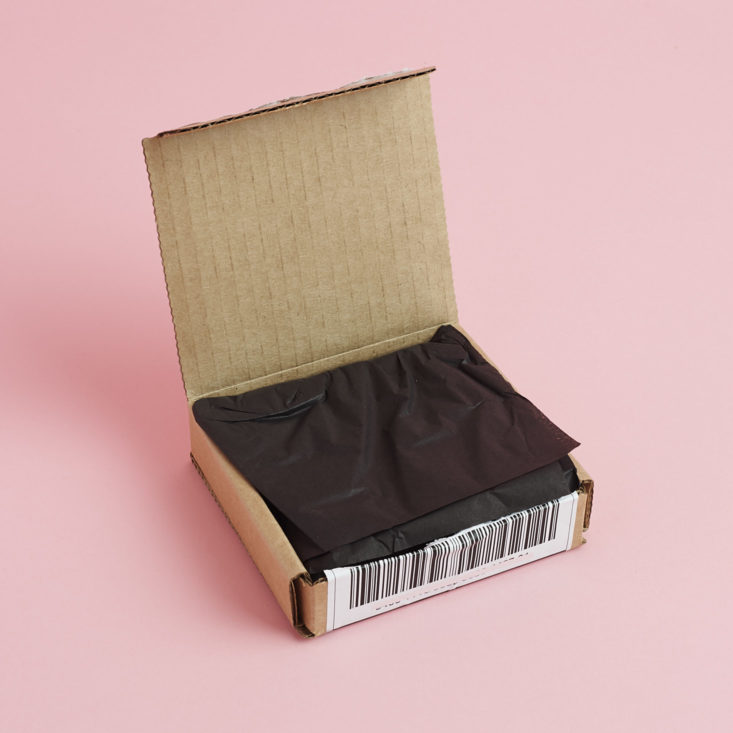 earfleek premier unboxing