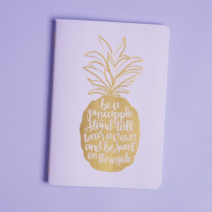 erin condren pineapple greeting card unwrapped