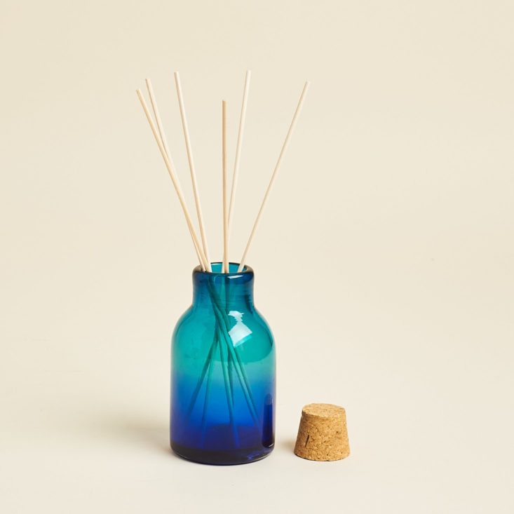 globe in mindfulness diffuser and reeds for home