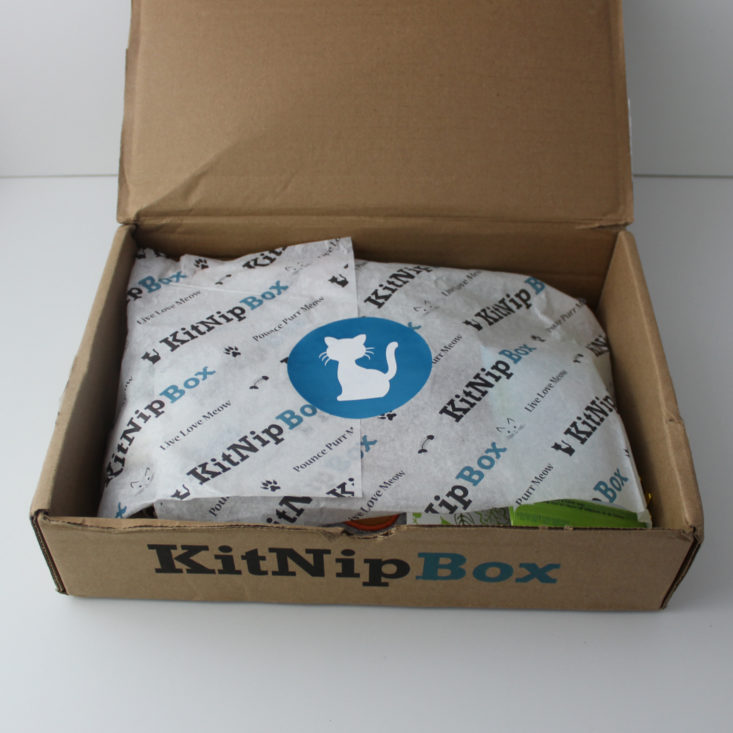 open Kitnipbox box