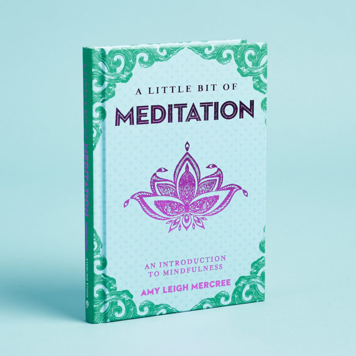 yogi surprise meditation book