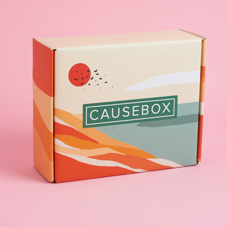 causebox review