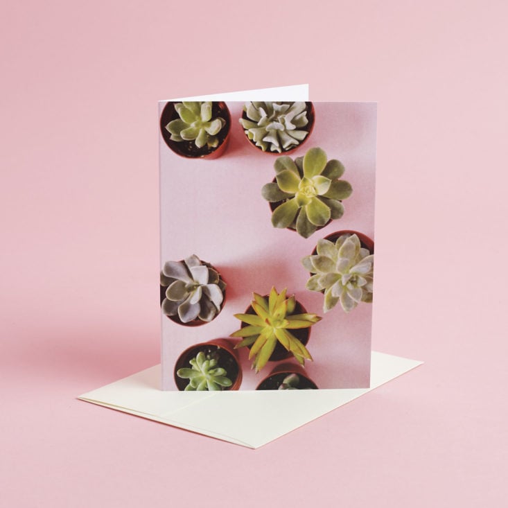 succulents card