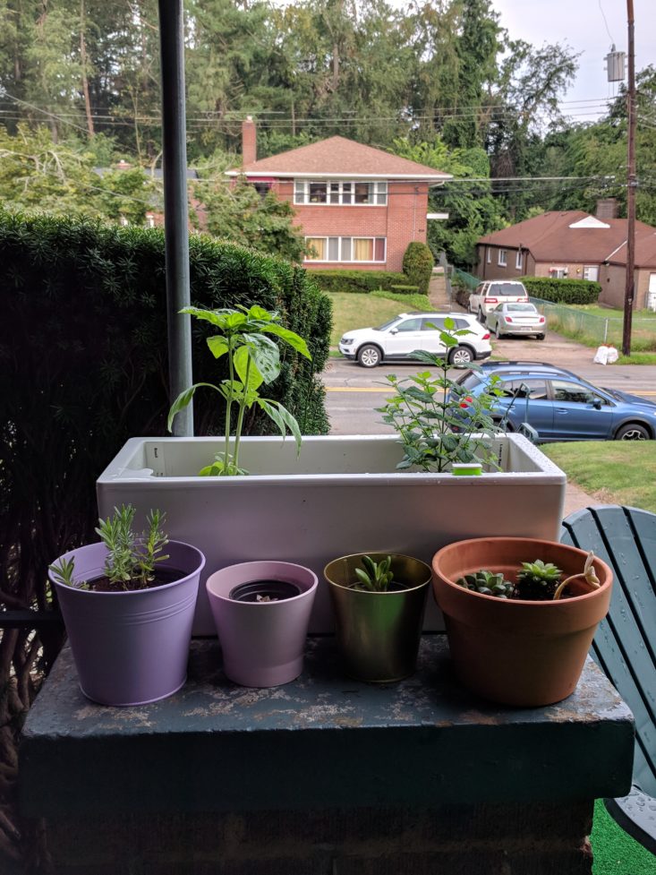 bespoke post greenhouse planter