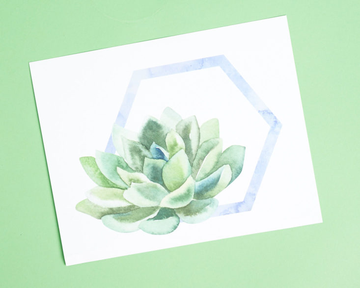 Succulent and hexagon art print