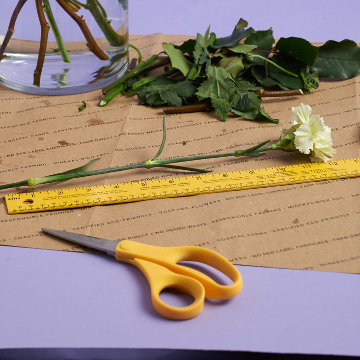 Measuring carnation to cut