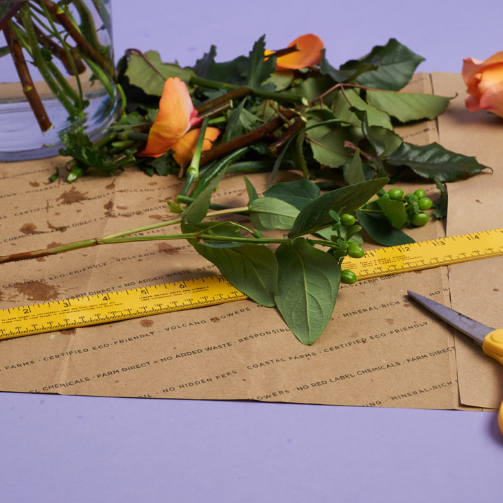 measuring filler flowers to cut