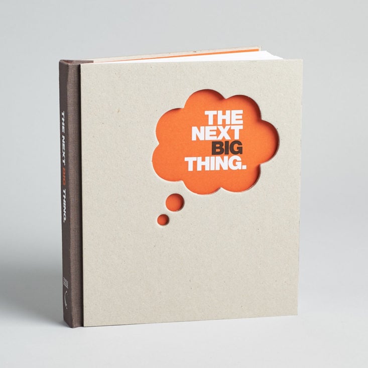 The Next Big Thing Doodle Book