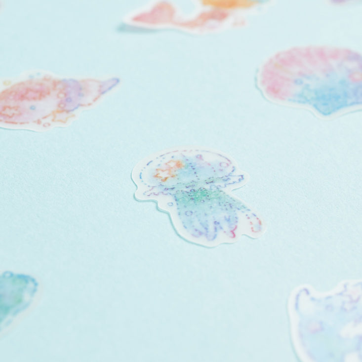 stickii die cut shells