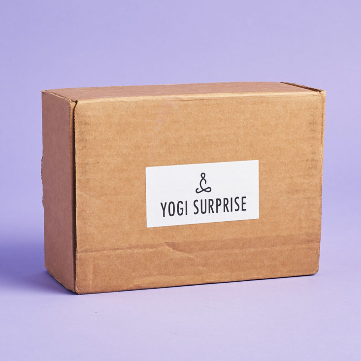 yogi surprise mens box