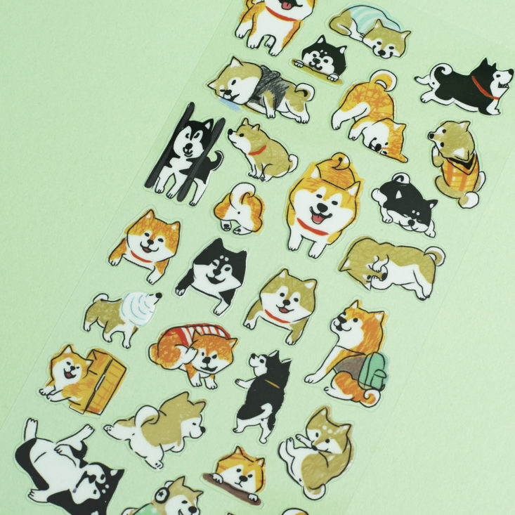 close up of Shiba inu stickers