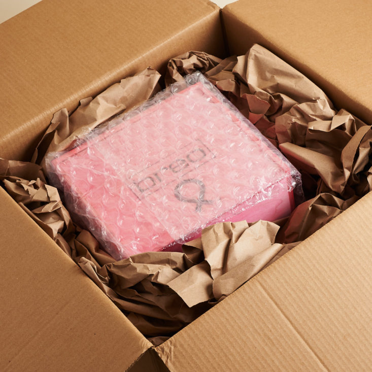 Breo Box Fall September 2018 - Box Opened Top Front
