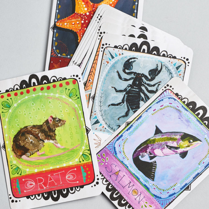 Goddess Provisions Wild Wisdom animal allies illustrated cards