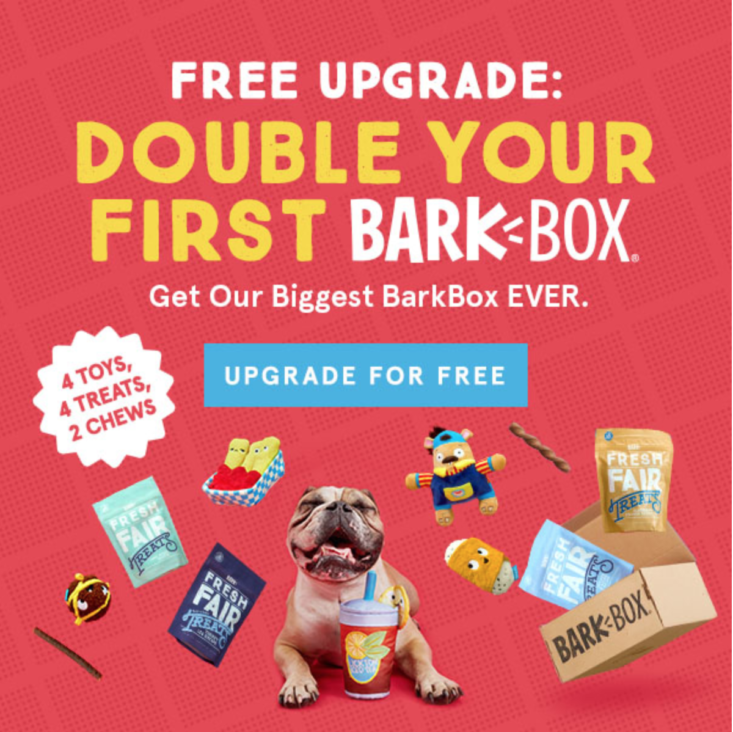 Barkbox 