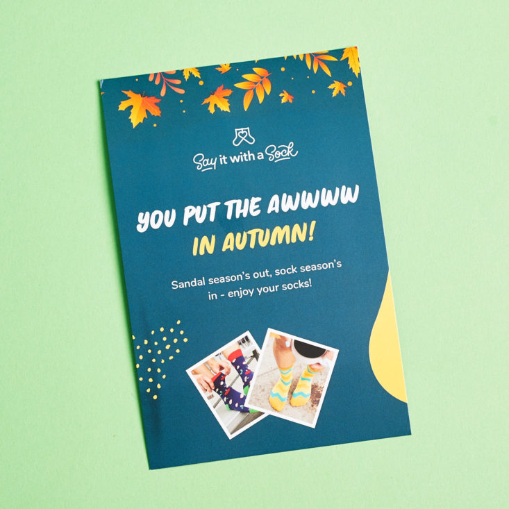 Say It With A Sock Mens October 2018 - Mast Steiner Socks Info Card Front