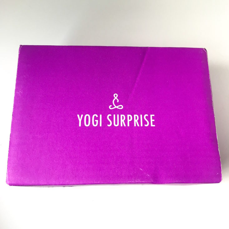 Yogi Surprise October 2018 - Box Review Top
