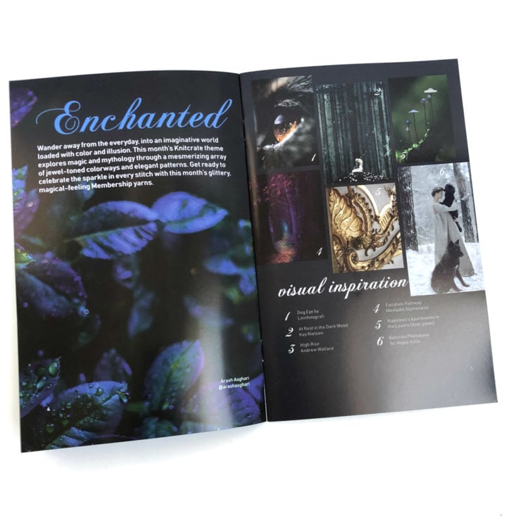 Knitcrate Sock Yarn Subscription Review November 2018 - Enchanted Theme Pages Front