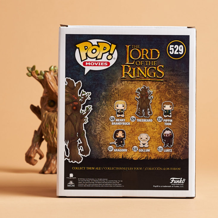 Pop In A Box November 2018 - Lord Of The Rings Treebeard Box Back