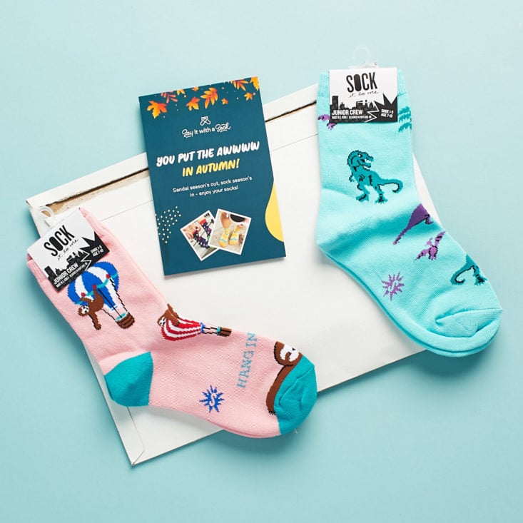 Say It With A Sock Girls October 2018 package contents