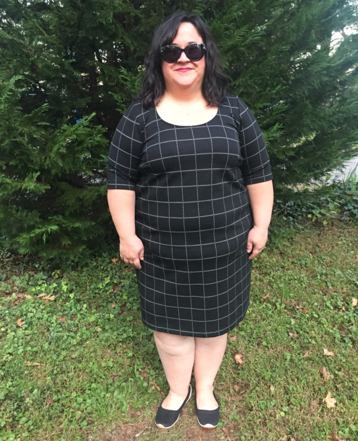 Wantable Style Edit Subscription Review October 2018 - Jacquard Elbow Sleeve Dress by Michel Studio Front