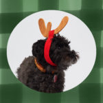 Happy Holidays from My Subscription Addiction!
