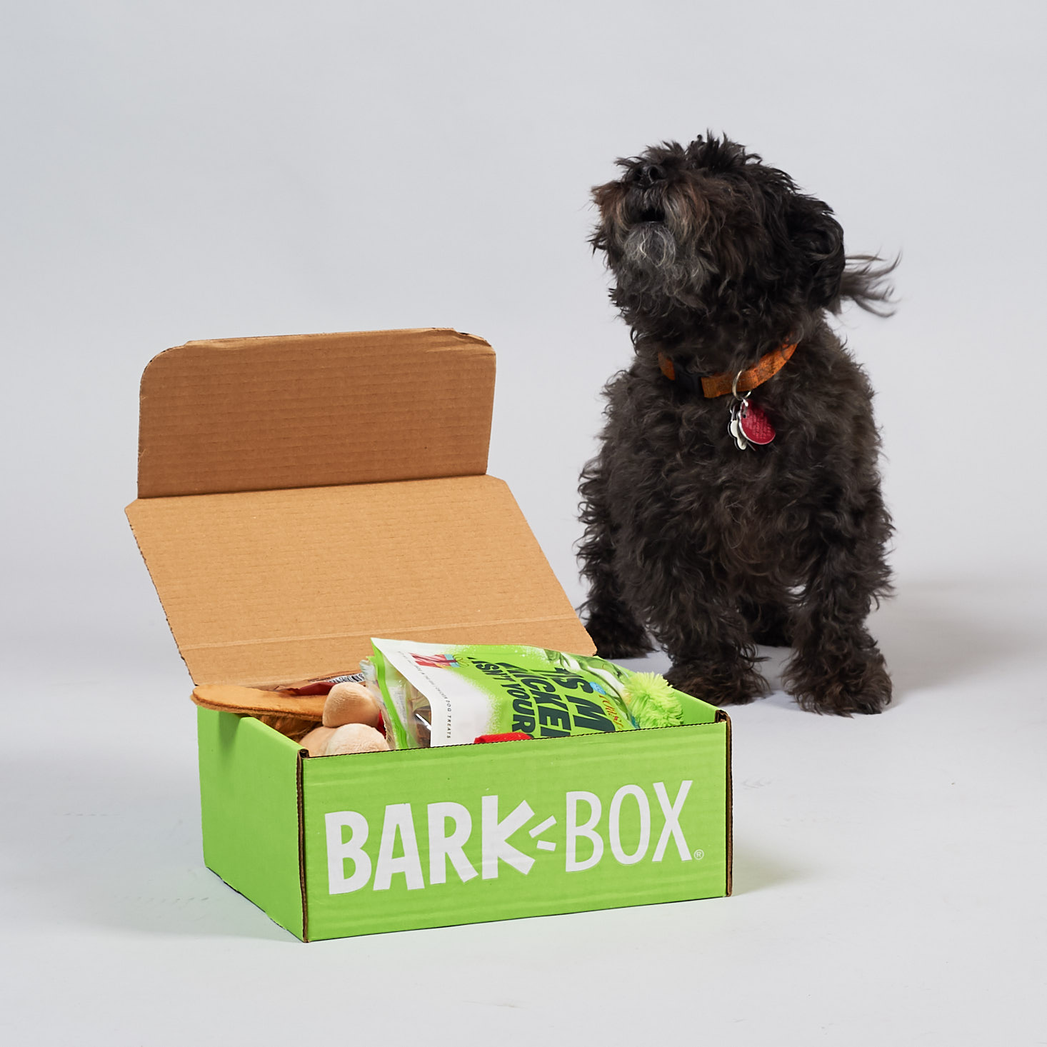 BarkBox Reviews 95+ Unboxings & Reviews MSA