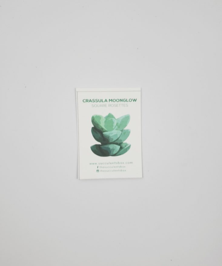 Succulents Box December 2018 - Square Rosettes Instruction Card Top
