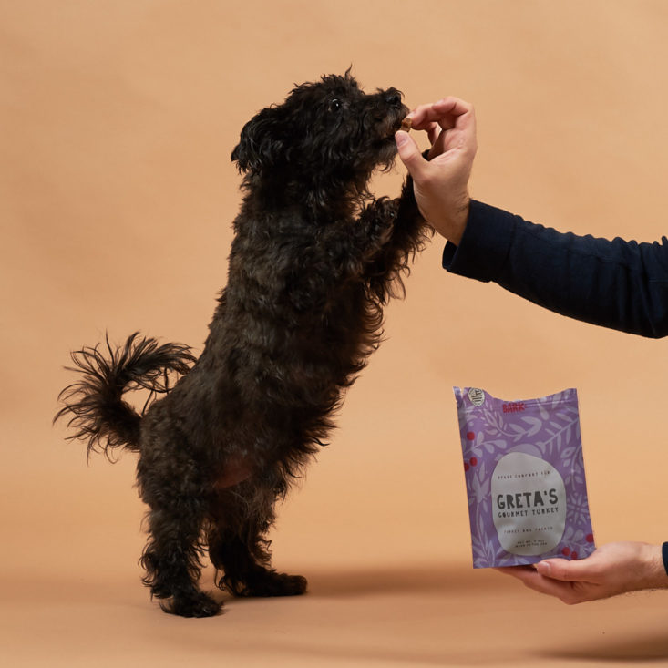 Barkbox January 2019 - Puppy With Greta's Gourmet Turkey 2 Front