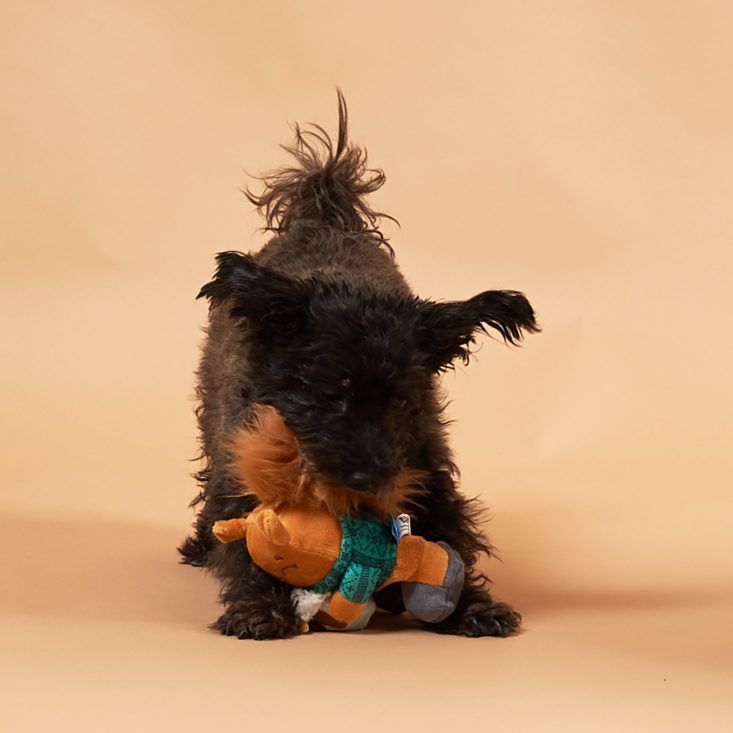 Barkbox January 2019 - Puppy With Tube Sqeueaker Front
